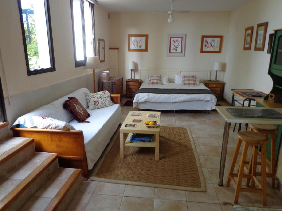 Casa Flora Garden Studio El El Sauzal Dış mekan fotoğraf