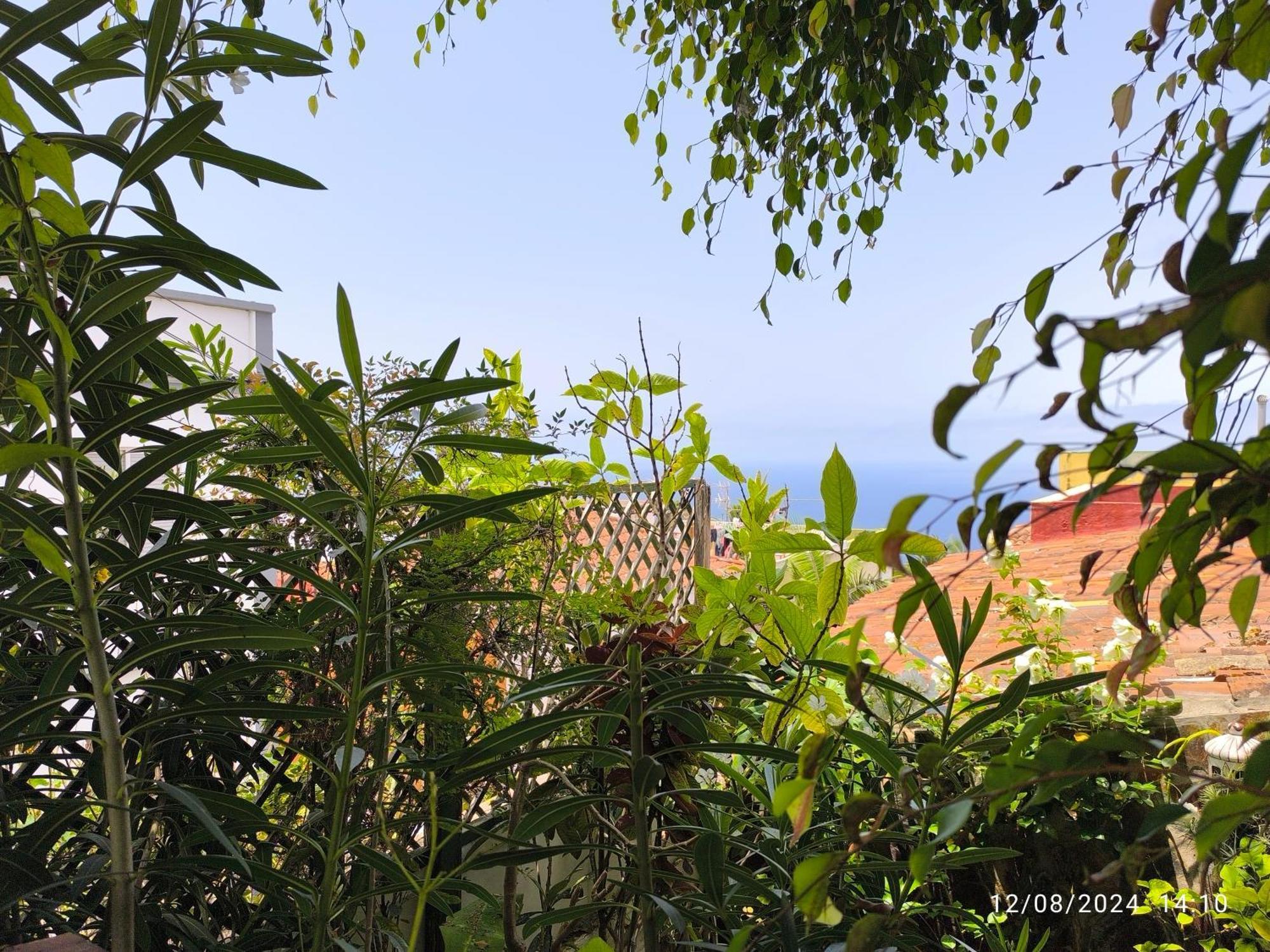 Casa Flora Garden Studio El El Sauzal Dış mekan fotoğraf